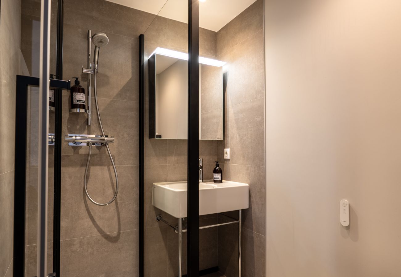 Appartement à Annecy - ANNECY - Le Penthouse du Lac