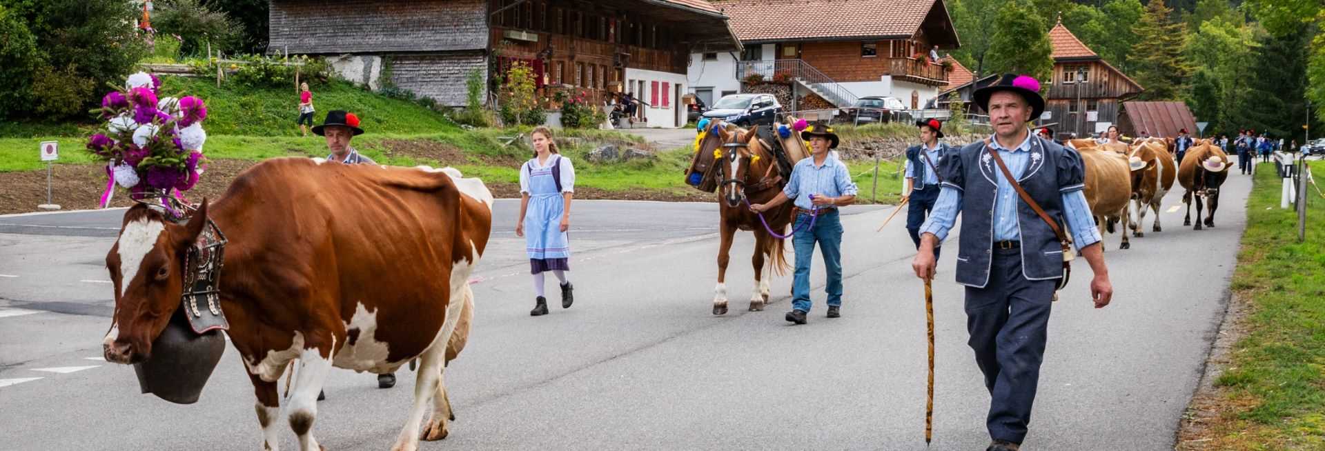 fete descente alpages 2024 annecy
