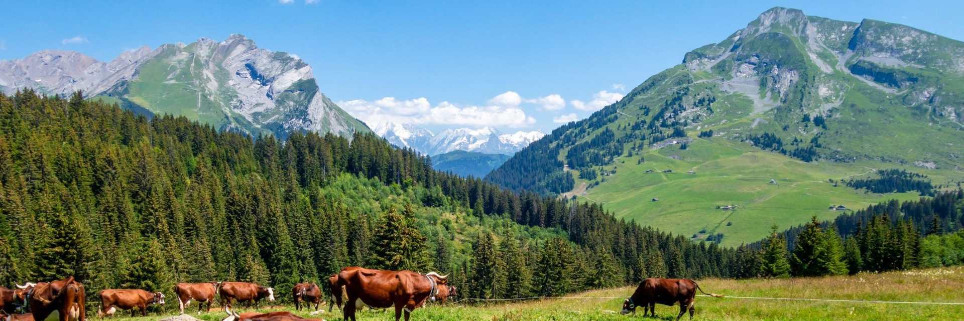 visit la clusaz in summer