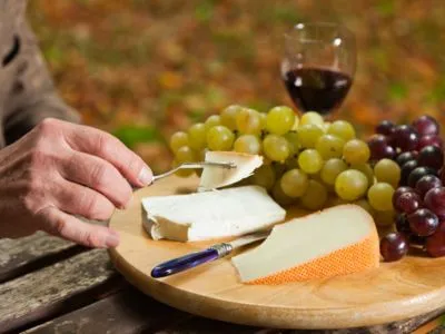 activité dégsutation vin et fromage annecy