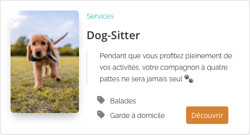 service dog sitting annecy